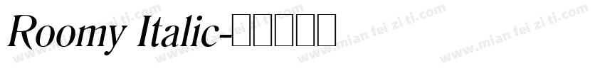 Roomy Italic字体转换